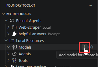 Screenshot of the plus button next to models in local resources.
